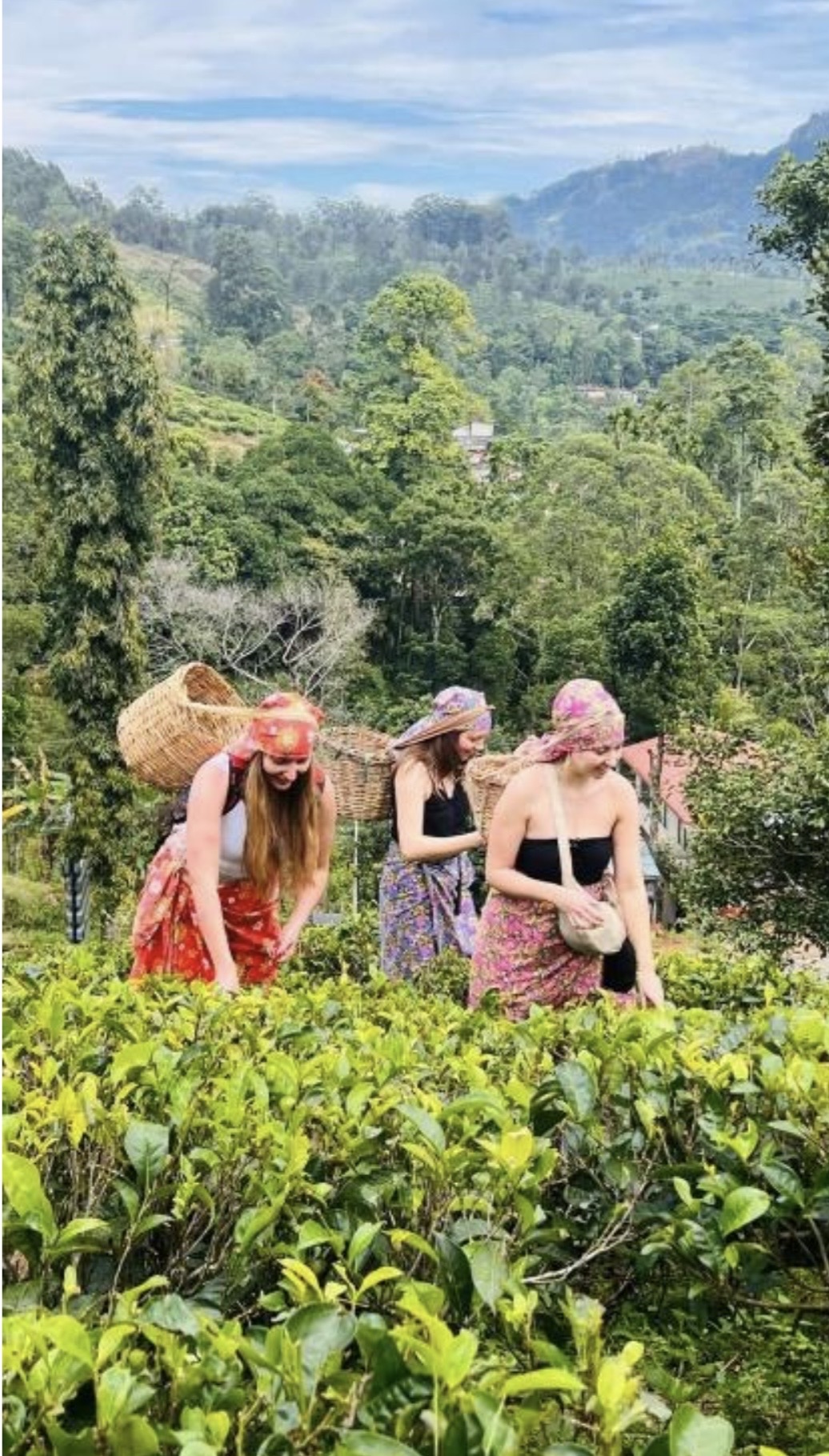 Recogida de té en Nuwara Eliya